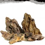 đá thủy sinh tiger đẹp