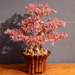 hướng dẫn chọn cây tài lộc đá thạch anh hợp mệnh tuổi