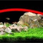 Dạng lồi (ngược với dạng trên, thấp hai bên và cao chính giữa)