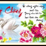 đính đá Vợ Chồng